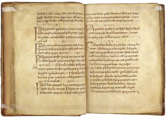 «Медицинская книга Лысого» 10 века нашей эры. (Public Domain)