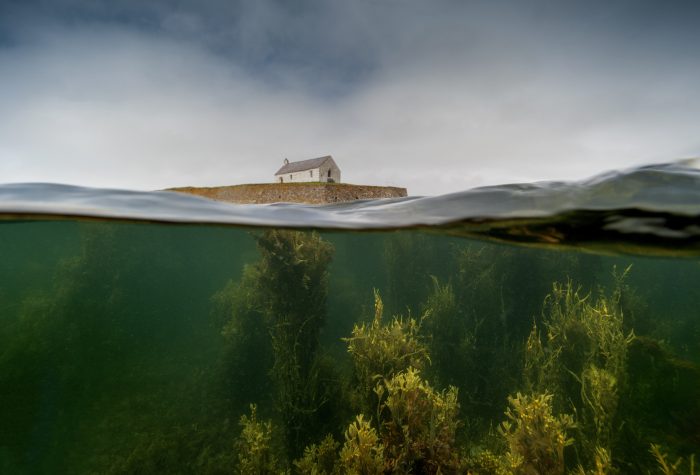 «Священный сад» Грея Итона. (Courtesy of Gray Eaton/Landscape Photographer of the Year)