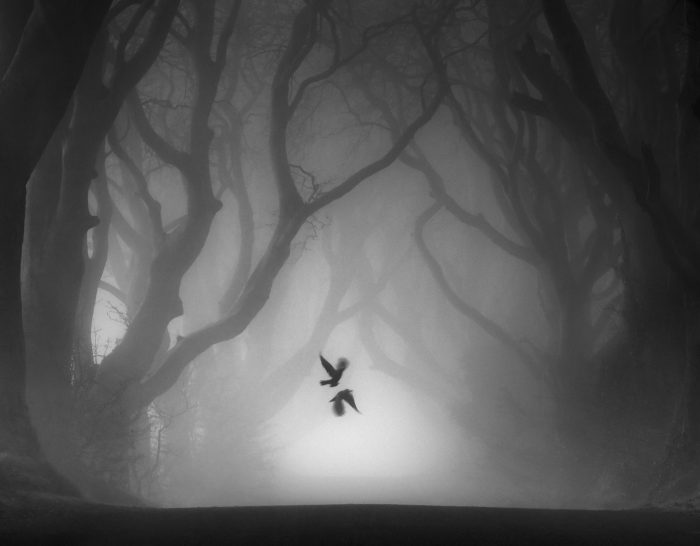 «Связанные души» Пола Киллина. (Courtesy of Paul Killeen/Landscape Photographer of the Year)