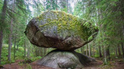 (Evgeniy Egorov/Shutterstock)