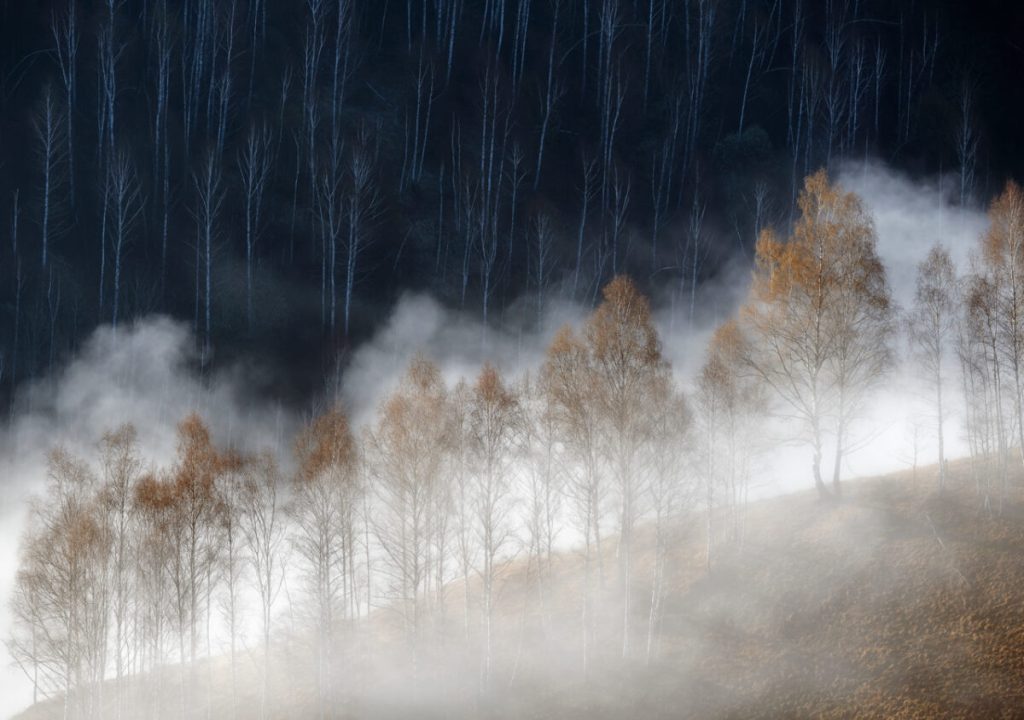 Холодное и тёплое. (Soare Laurentiu/NPOTY 2022)