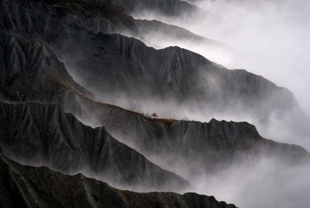 Жизнерадостное дерево. (Gianluca Gianferrari/NPOTY 2022)