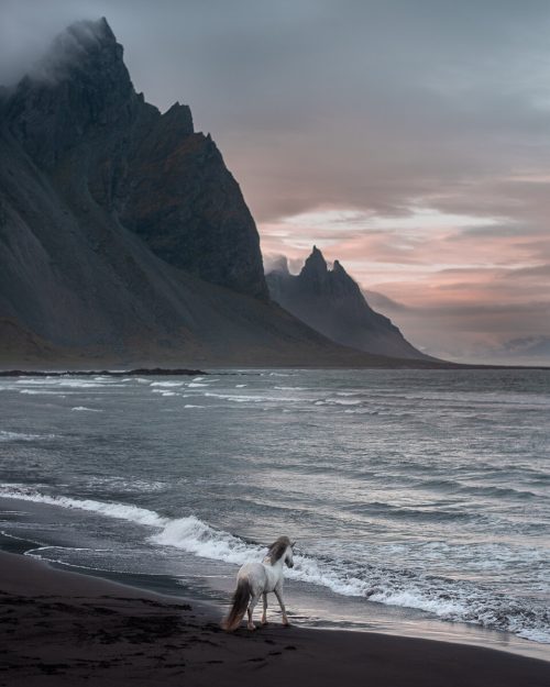 (Courtesy of Petra Marita)