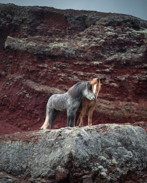 (Courtesy of Petra Marita)
