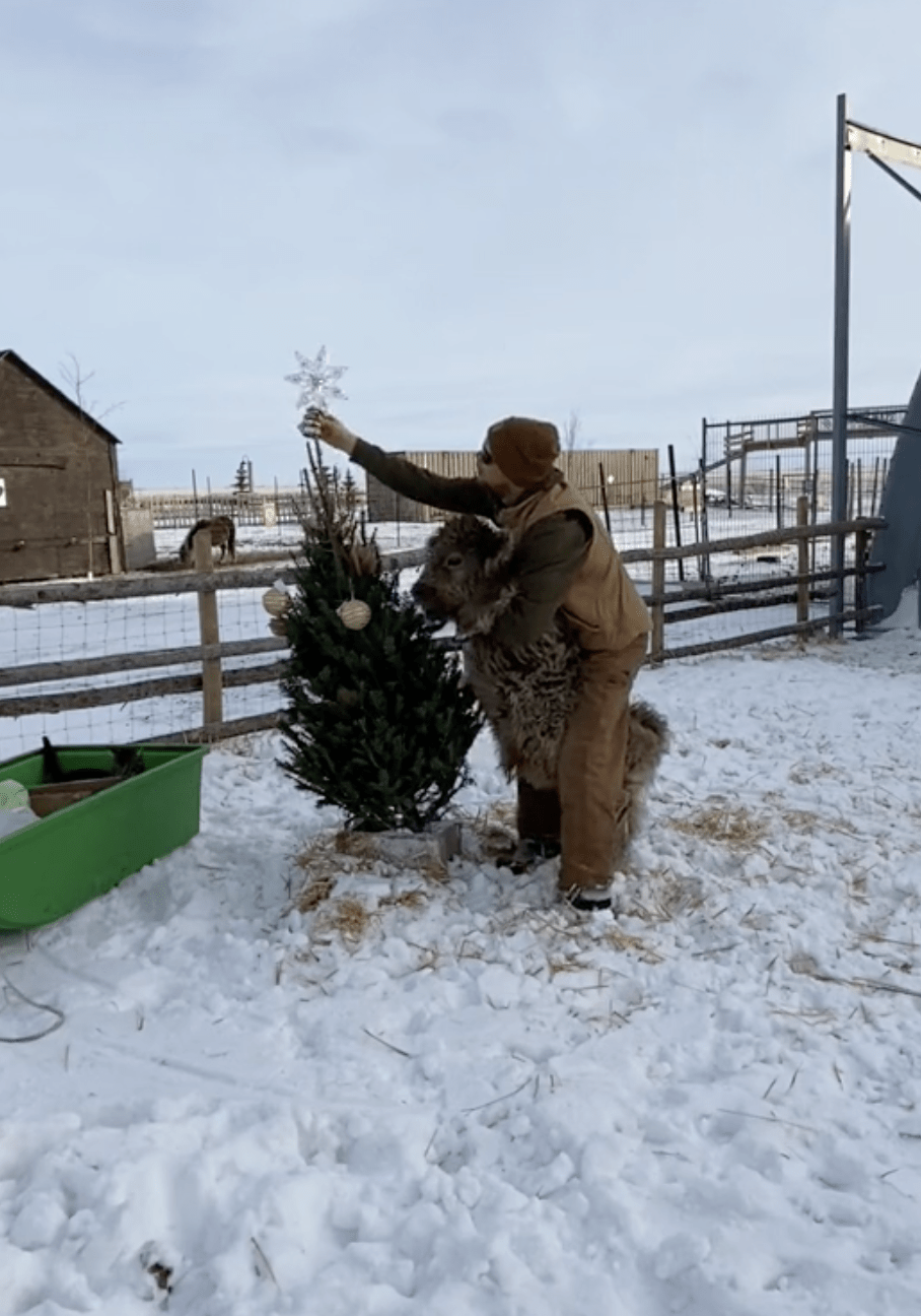 (Courtesy of Taylor Crassweller via Cedar Creek Farms)