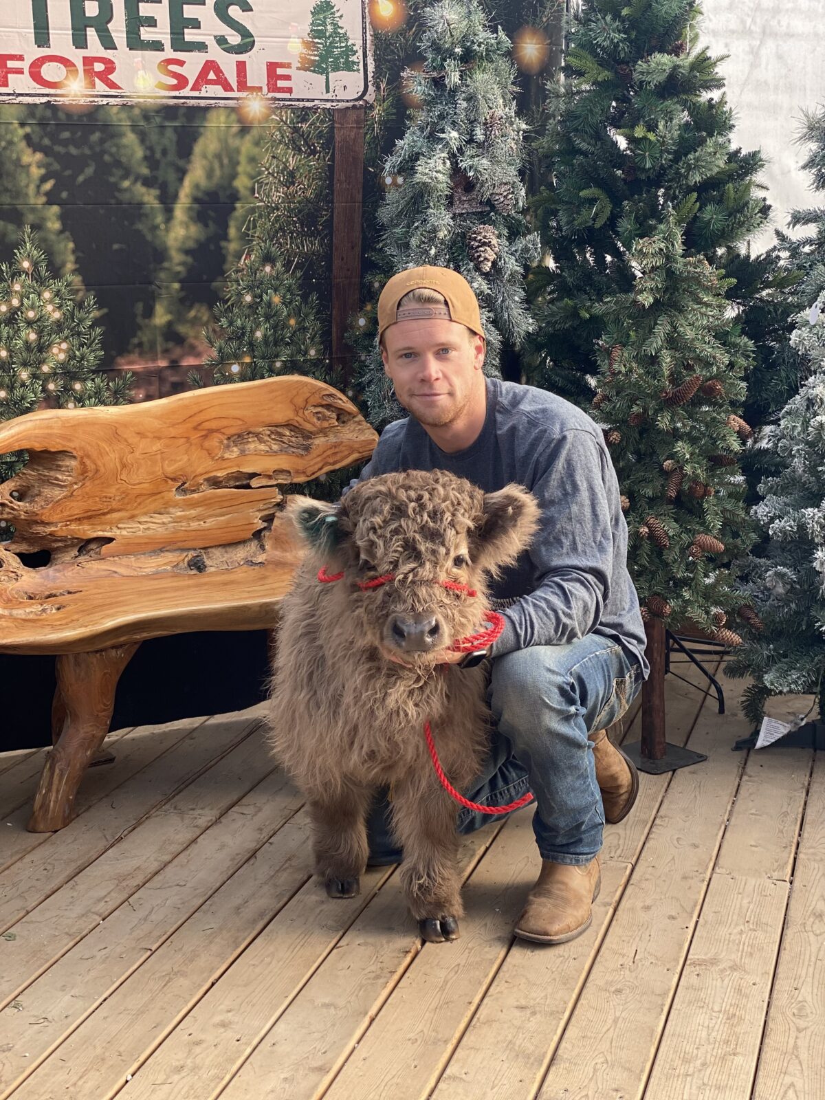 Бычок Теодор с хозяином Тейлором Крассвеллером. (Courtesy of Taylor Crassweller via Cedar Creek Farms)