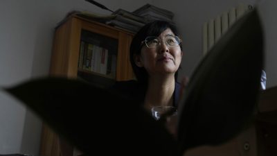 Активистка Ван Юй обнаружила, что её приложение для защиты здоровья от COVID-19 изменило цвет и помешало ей путешествовать по Пекину. Интервью 30 июня 2022 года. (Ng Han Guan/AP Photo)
