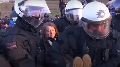 Фото. Почётный вынос Греты Тунберг с акции. (Скриншот/Global News/youtube.com)