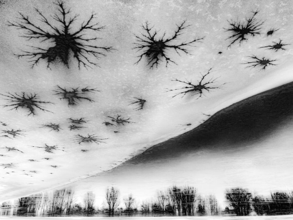Деревья и звезды. (Csaba Daróczi/NPOTY 2022)
