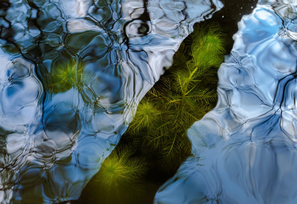 Подводное течение. (Csaba Daroczi/NPOTY 2022)