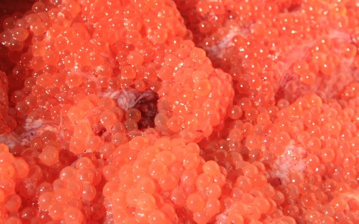 На Сахалине изъяли рыбную продукцию на миллионы рублей Фото: pxhere.com/СС0