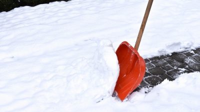 Фото. Расценки управляющих компаний в России намерено контролировать  государство. (Alehandra13/pixabay.com/Pixabay License)