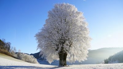 Фото.pxhere.com/СС0