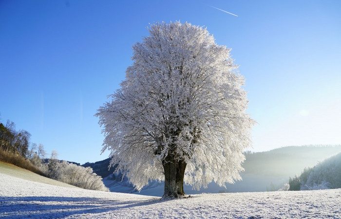 Фото.pxhere.com/СС0
