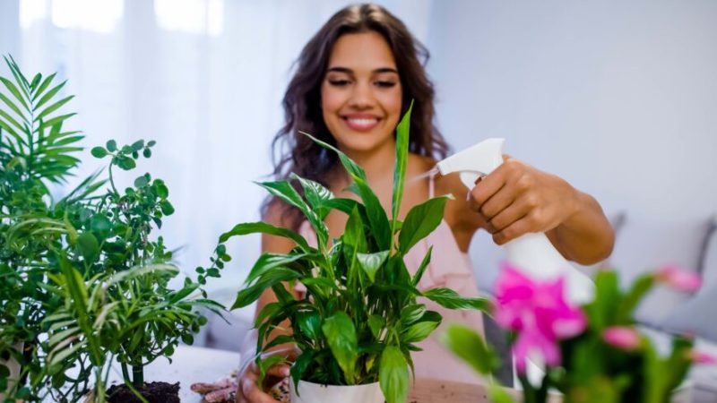 Позаботьтесь о своих растениях, и они позаботятся о вас. (DraganaGordic/Shutterstock)