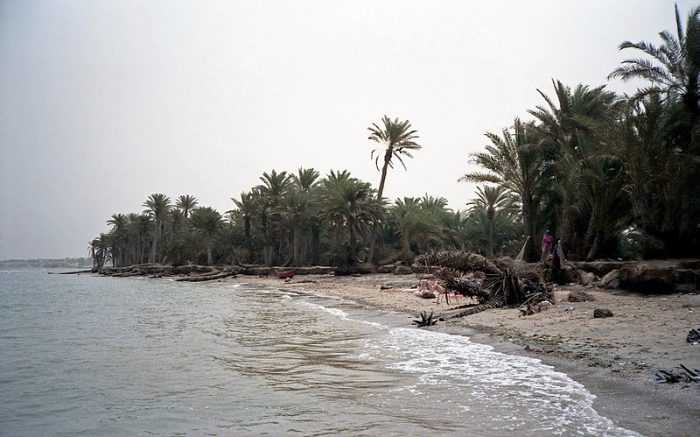 Тихама на Красном море недалеко от Хаухи, Йемен. (Фото: wikipedia.org. CC BY-SA 4.0)