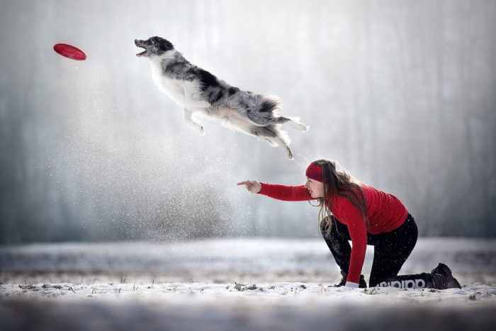Кьяра Кочбек, Словения. (Courtesy of Kjara Kocbek via Dog Photography Awards)