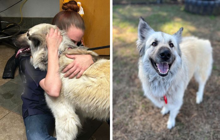 (Слева) Лило воссоединяется со своим хозяином; (Справа) Лило. (Courtesy of McKamey Animal Center)