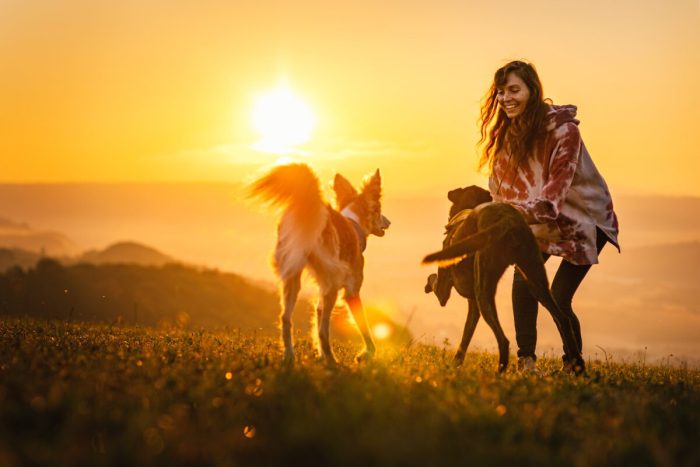 Сара Эбнер, Швейцария. (Courtesy of Sarah Ebner via Dog Photography Awards)