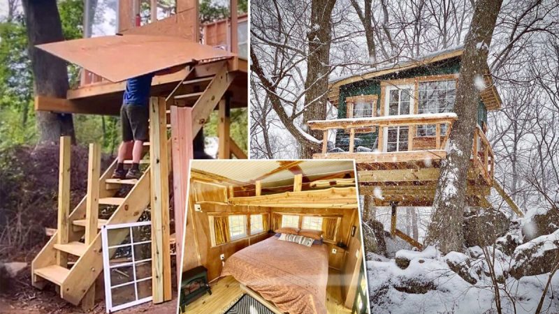 Слева: Скриншот/Newsflare. Справа и вставка : Предоставлено Will Sutherland/ Willbillys