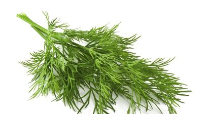 Укроп — фантастический усилитель вкуса с природными антибиотическими свойствами. (Preto_perola/iStock)
