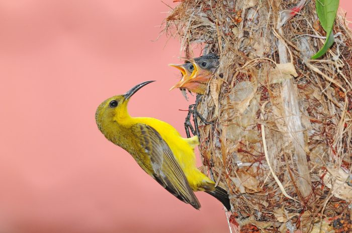(sunsetman/Shutterstock)