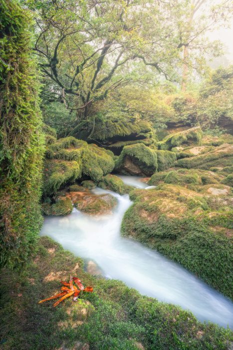 Поток Хунг Тхонг. (Courtesy of Cao Ky Nhan via Jungle Boss Tours)