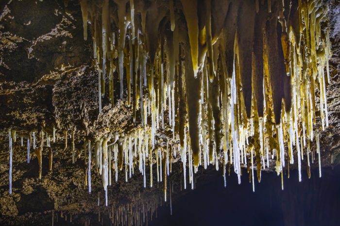 Геологические декорации в пещере Хунг (Courtesy of Duc Thanh via Jungle Boss Tours)