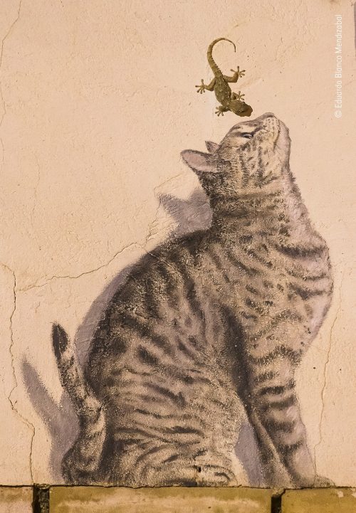 «Жизнь и искусство», автор Эдуардо Бланко Мендизабал. (Courtesy of Eduardo Blanco Mendizabal / Wildlife Photographer of the Year)