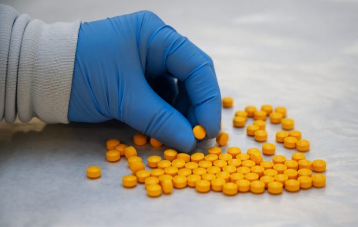 Химик Управления по борьбе с наркотиками США (DEA) проверяет конфискованный порошок, содержащий фентанил, в Северо-восточной региональной лаборатории DEA в Нью-Йорке 8 октября 2019 года. (Don Emmert/AFP via Getty Images)