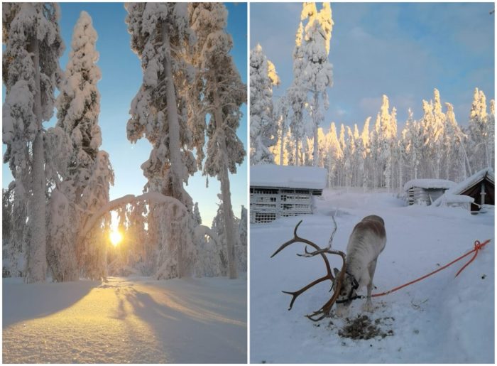 (Courtesy of Janita Kenttälä)