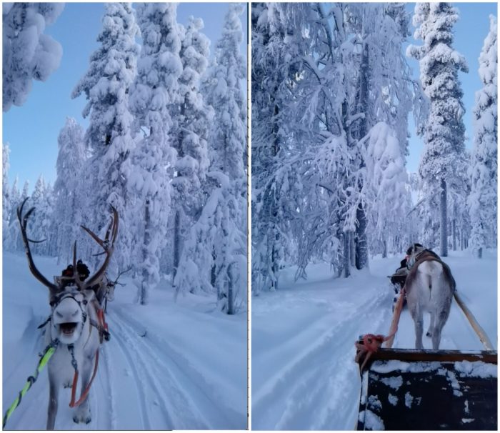 (Courtesy of Janita Kenttälä)