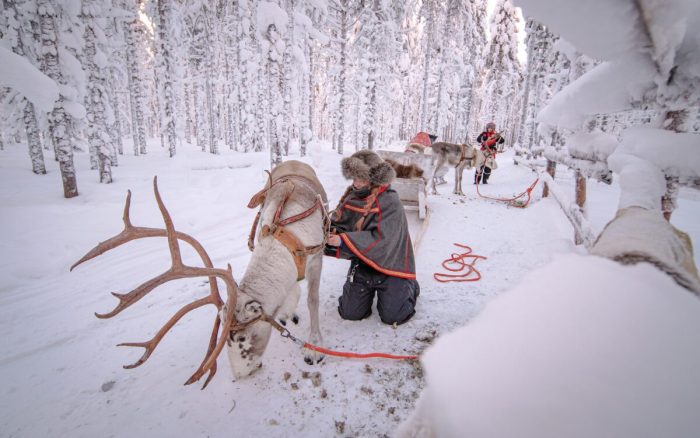 (Courtesy of Janita Kenttälä)