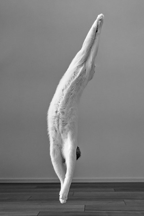 (Предоставлено Kazutoshi Ono, Япония, 2-е место национальной премии, 2023 Sony World Photography Awards)