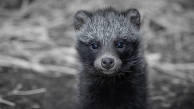 (Nathan Talbot/EyeEm/Getty Images)