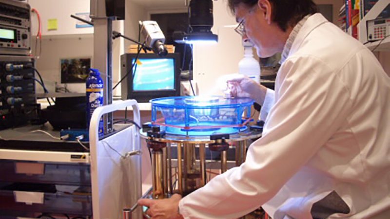 Джон Стюарт Рид смотрит на Seamscope, 2008 г. (CymaScope.com)
