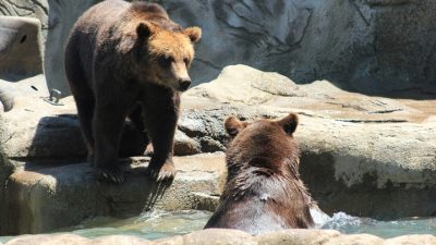 Фото: pxhere.com/СС0