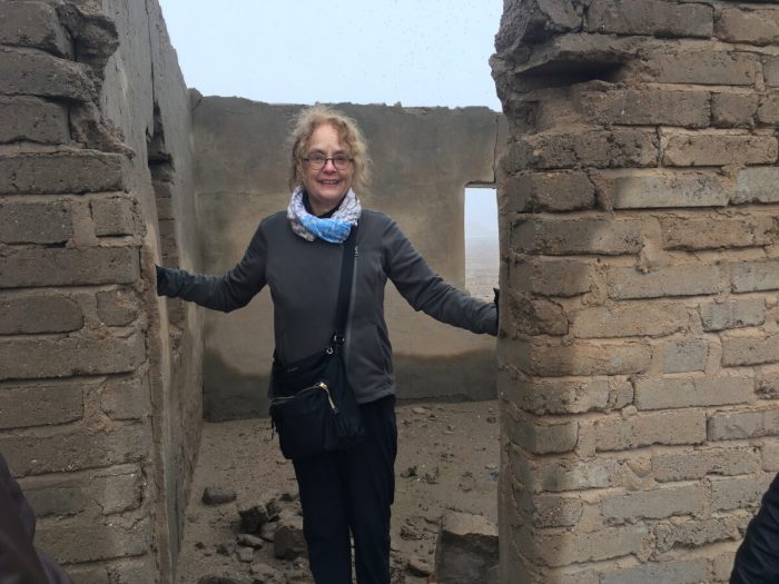 Доктор Холли Питтман в Лагаше в декабре 2018 г. (Courtesy of Lagash Archaeological Project)