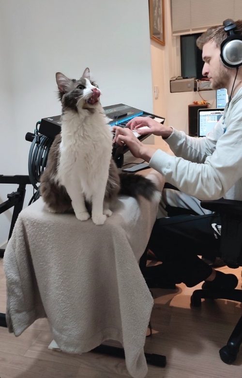 Оксман с котом Майклом. (Courtesy of Noam Oxman /@sympawnies/Sympawnies)