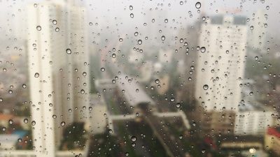 
Фото: pxhere.com/СС0