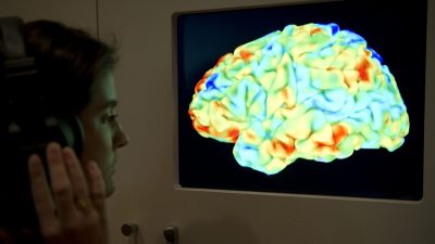 Функциональное магнитно-резонансное изображение (ФМРТ), показывающее влияние «Весны священной» (балет) Стравинского и «3-й критики» Канта на мозг человека, во время новой крупной выставки «Мозг: разум материи» в Wellcome Collection в Лондоне 27 марта 2012 года. (Miguel Medina/AFP/Getty Images)