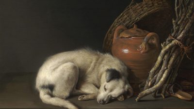 «Спящая собака», 1650, Геррит Доу. Музей изящных искусств, Бостон  (Public  Domain)             