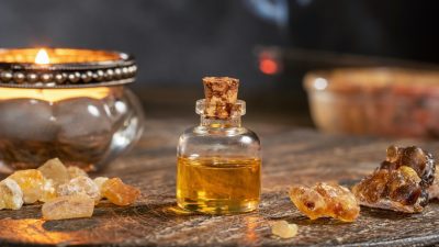 (Madeleine Steinbach/Shutterstock)