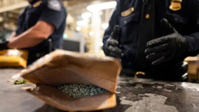 Сотрудник отдела по торговле и грузоперевозкам Таможенно-пограничной службы США обнаруживает таблетки оксикодона в посылке в отделении Почтовой службы США в аэропорту имени Джона Кеннеди в Нью-Йорке 24 июня 2019 г. (Johannes Eisele/AFP via Getty Images)
