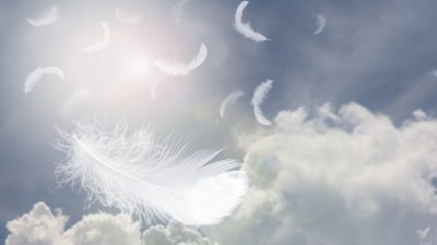 Загадочные белые перья, падающие с неба в Тайчжоу провинции Чжэцзян в декабре 2020 года, напоминают власть имущим, как предупреждающий знак у дороги, обратить внимание на добродетель и исправить свои ошибки. (Image: Siwakorn Klomwinyarn via Dreamstime)