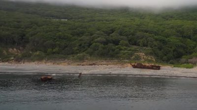 Фото: Скриншот/ОТВ-Прим/youtube.com
