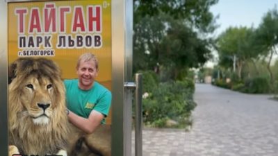 Парк львов Тайган. (Фото: скриншот/Татьяна Алексагина/youtube.com)