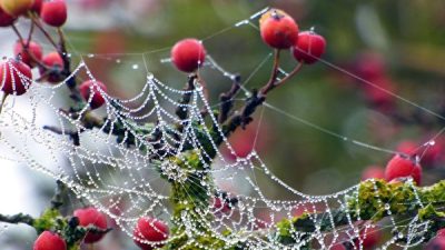 Недоверие приводит к катастрофе. (Pixabay)