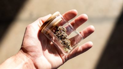 Образцы конопли компании Catalyst Cannabis Company в Санта-Ане, Калифорния, 18 февраля 2021 года. (John Fredricks/The Epoch Times)

