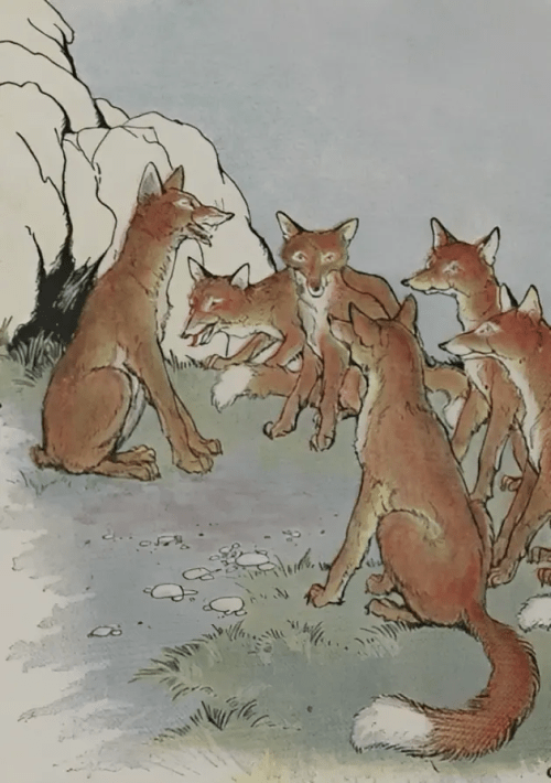 «Лис без хвоста», иллюстрация Майло Винтера из книги «Эзоп для детей», 1919 г. (PD-US)
